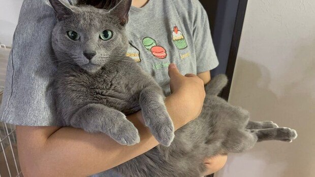 抱っこされるとあくん。