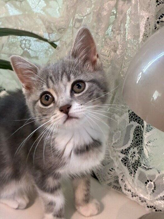 キレイな瞳が印象的な1枚