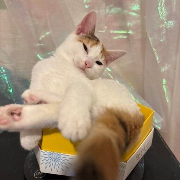 体重測定をするみっけちゃん