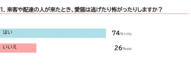 愛猫は来客を警戒しますか？