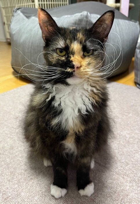 1才になったエカちゃん