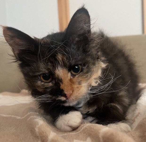 生後5カ月のころに撮影したエカちゃん