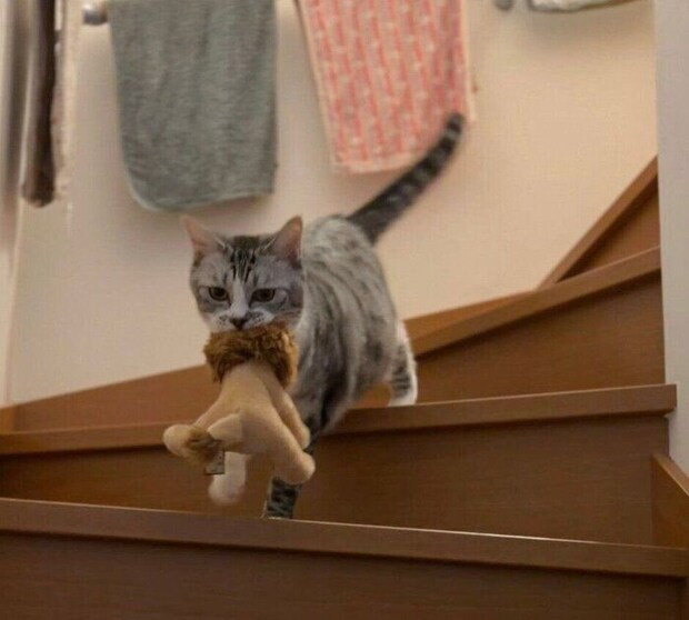 ライオンのぬいぐるみを運ぶ春くん。