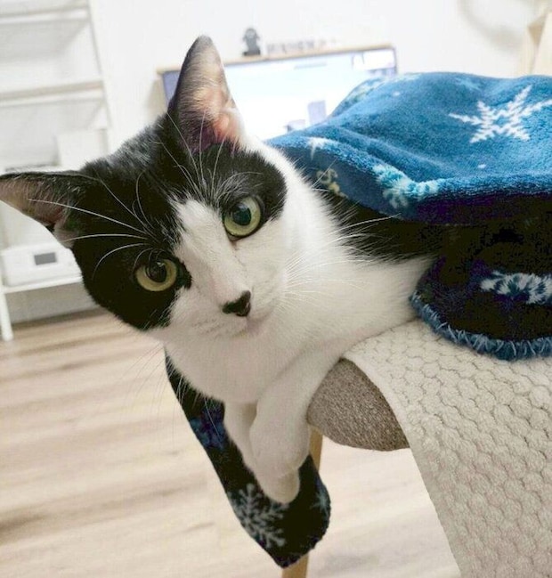 布団をかけるおそのさん