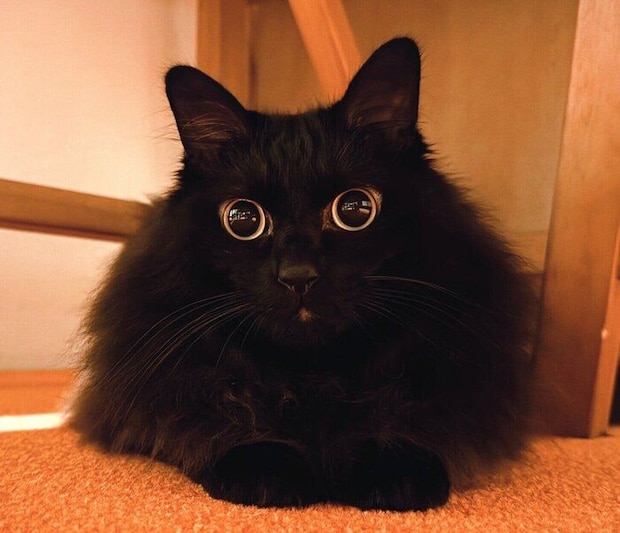 7才になったつきみちゃん