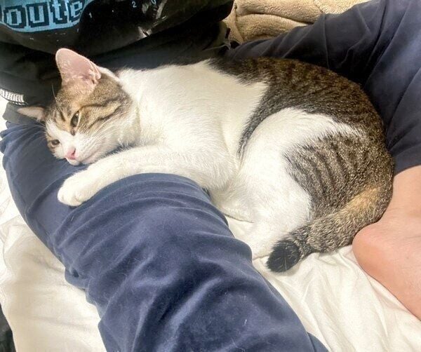 飼い主さんの股の間も落ち着く?