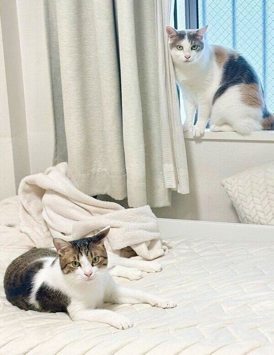 しらたまちゃんとのツーショット