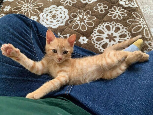 飼い主さんお気に入りの1枚