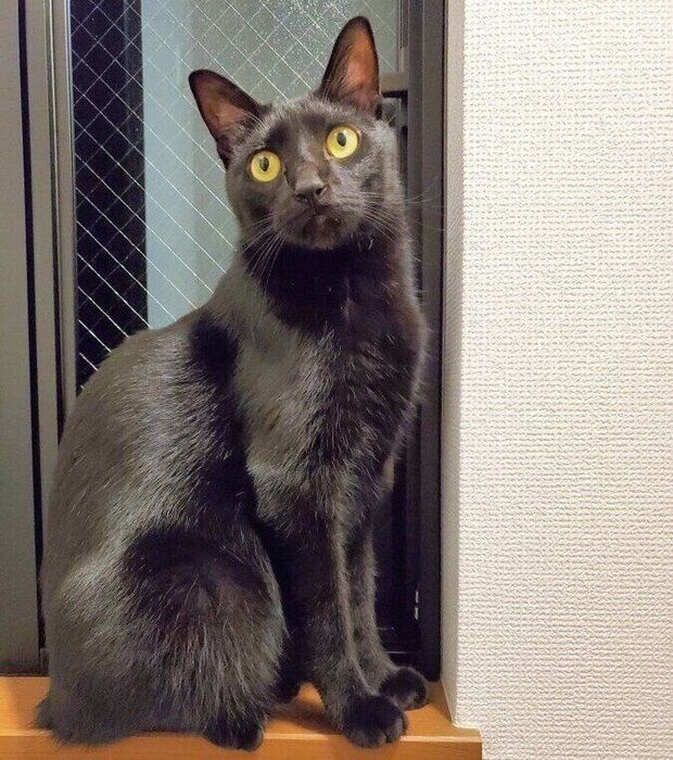 成長後の様子 とってもかっこいい1枚