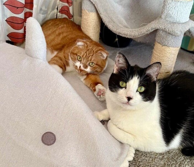 仲良しなポポちゃん、ぺぺくん