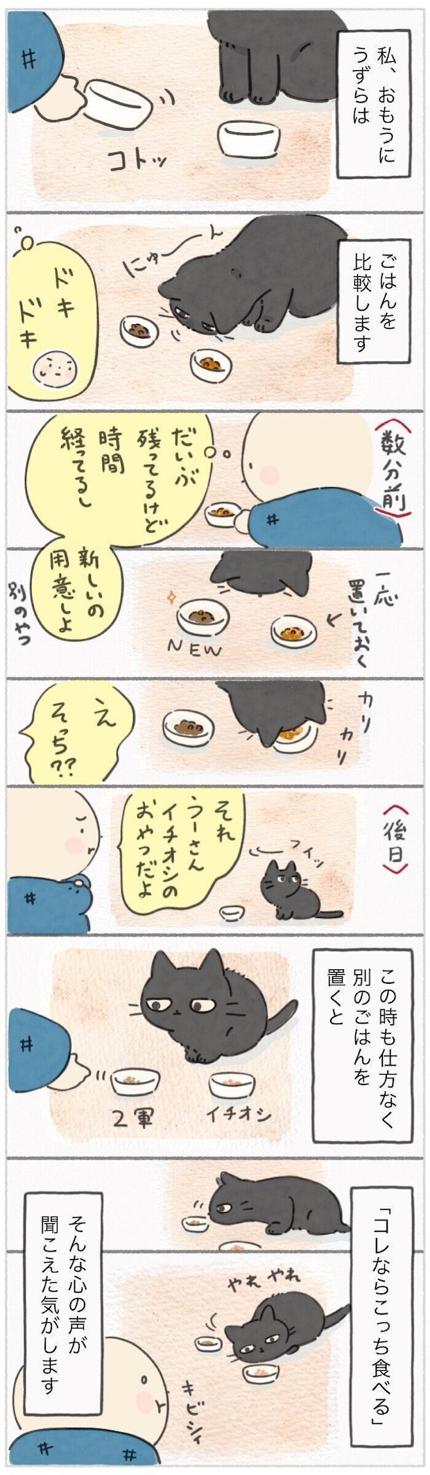 「ねこ連れ草」347話め
