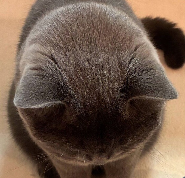 まんまるな安二郎くん