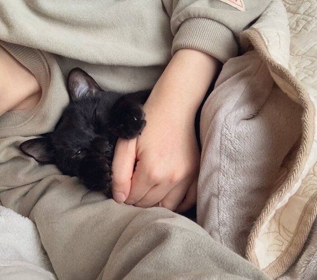 飼い主さんと添い寝するこぐまくん