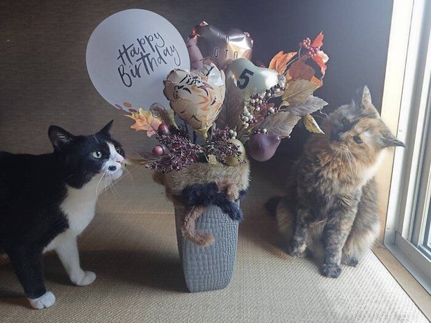 絆那ちゃんと乙ちゃん