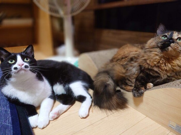 まったりする絆那ちゃん、乙ちゃん