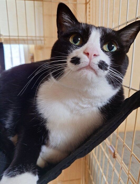 まったり中の絆那ちゃん