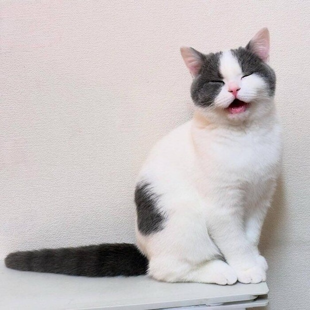 性格は“ツンデレ”な一面も……！？　かわいらしい表情をするたもすけくん