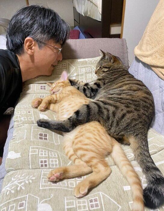 仲良く眠るつくしくんともずくくん