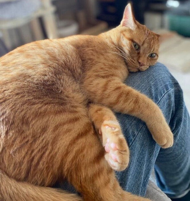 まったりのつくしくん