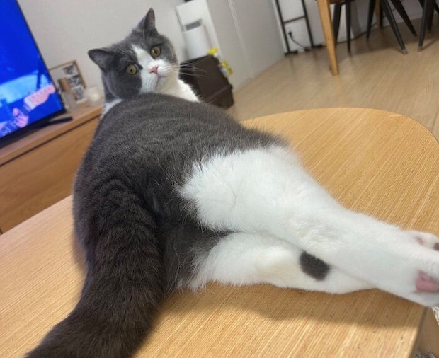 くつろぐもずくくん