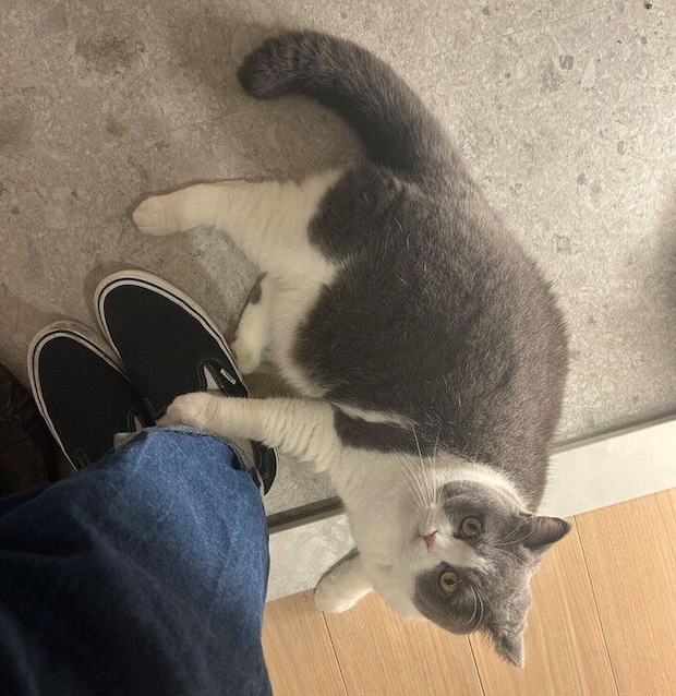 外出阻止をするもずくくん