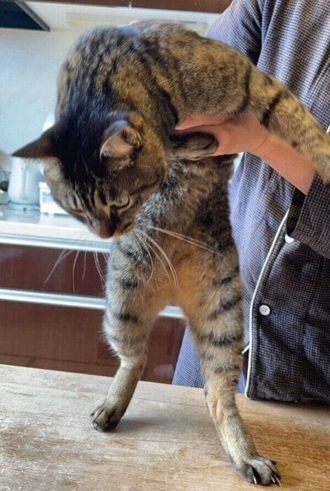 今日も繰り広げられる攻防戦