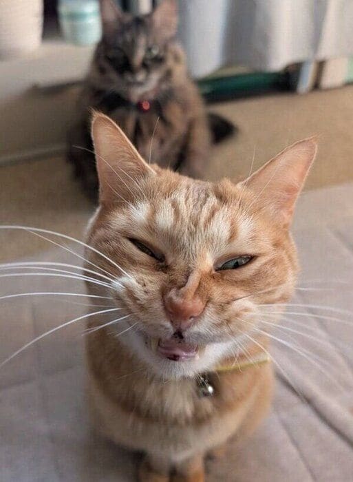 ぷりんちゃんとララちゃんの2ショット