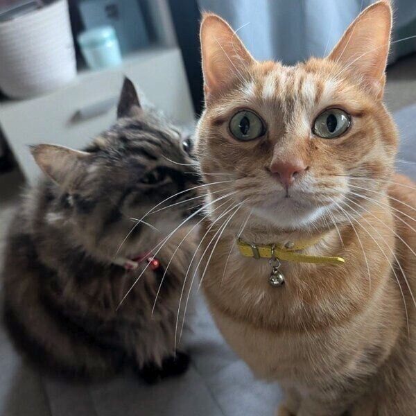 ララちゃんに見守られるぷりんちゃん