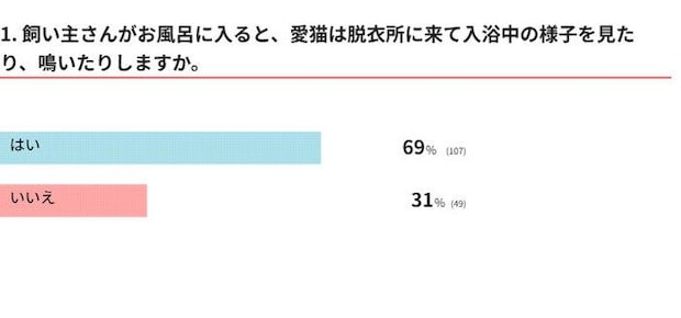 愛猫は飼い主がお風呂に入ると鳴く?