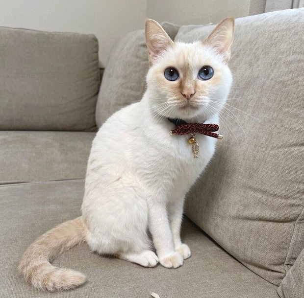 見つめるひなたちゃん