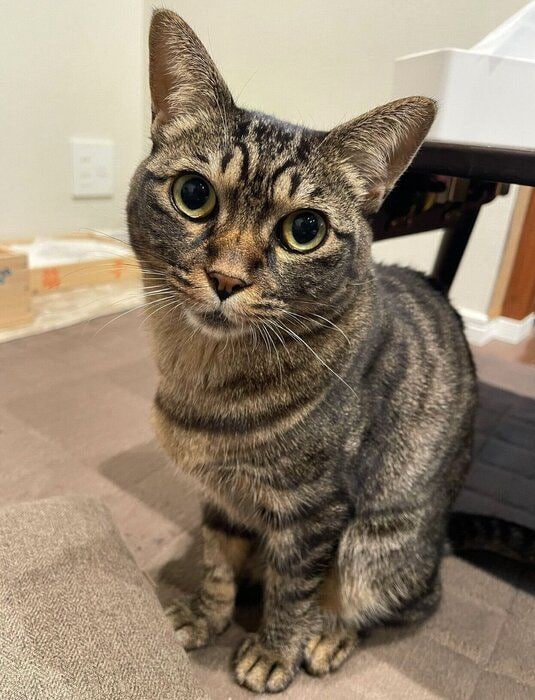 見つめる真良くん