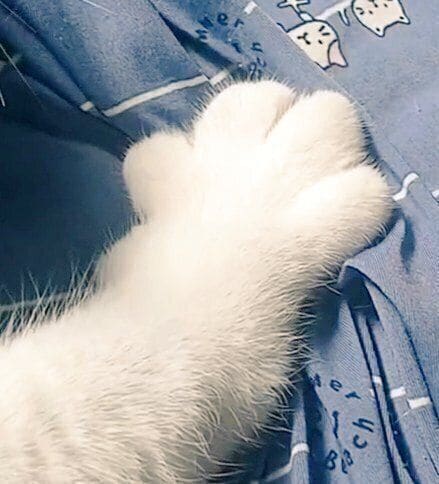 手の形が可愛いもなかくん