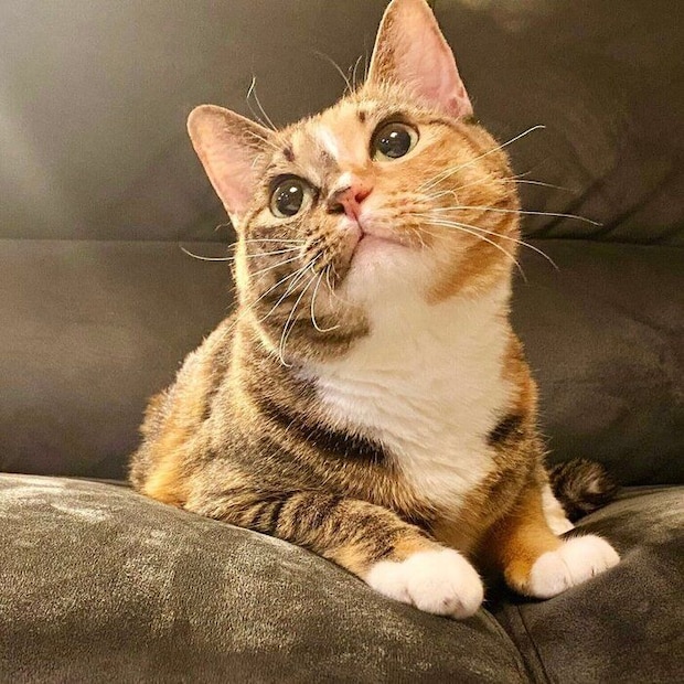 まんまるおめめで見つめるたらこちゃん。