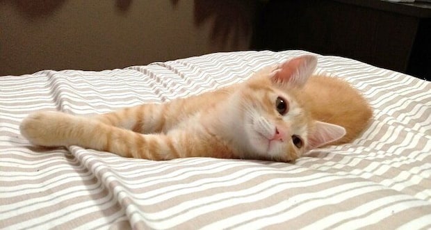 リラックスしている様子が伝わってくる1枚