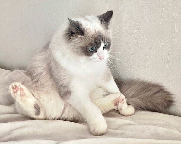 まだあどけない様子のむーむーくん