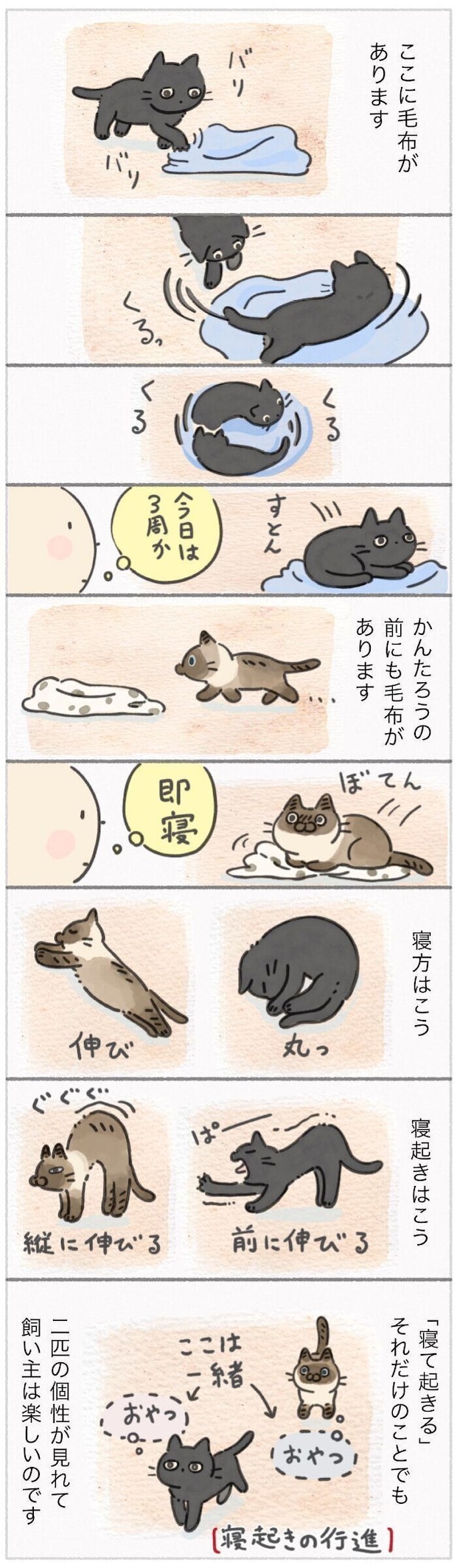 「ねこ連れ草」349話め
