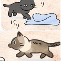 「寝て起きる」だけで性格丸見え？毛布ひとつでわかる2匹の個性【連載】ねこ連れ草 349話め