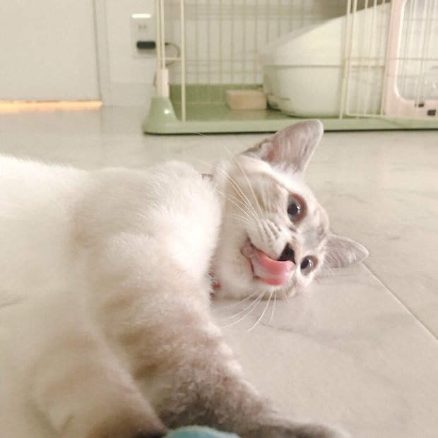 生後4カ月のときのネスくん