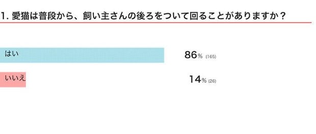 愛猫は普段から、飼い主さんの後ろをついて回ることがある？