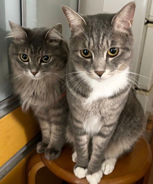 立派に成長したじじくん、ぷぷちゃん