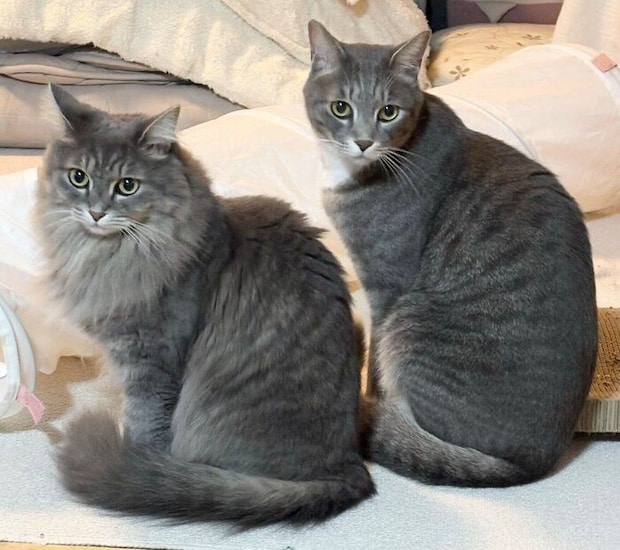 仲良しなぷぷちゃん、じじくん