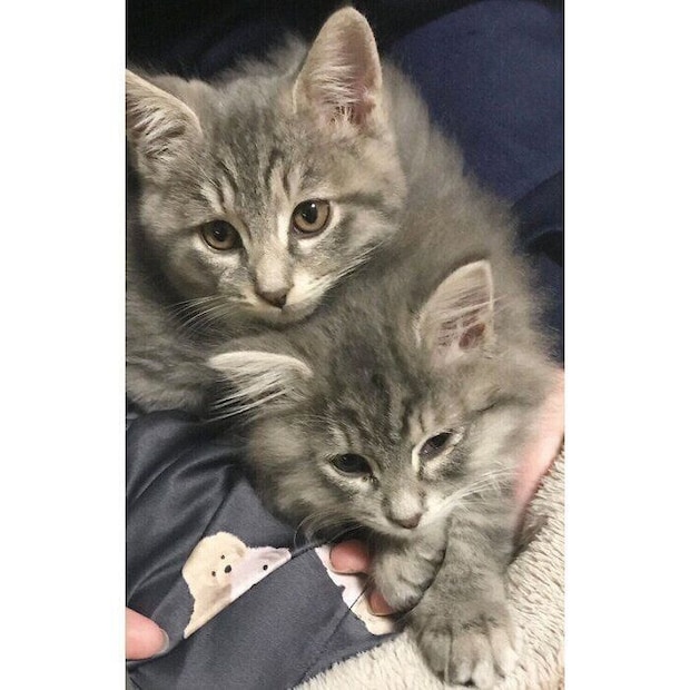 生後4カ月のころのじじくん、ぷぷちゃん