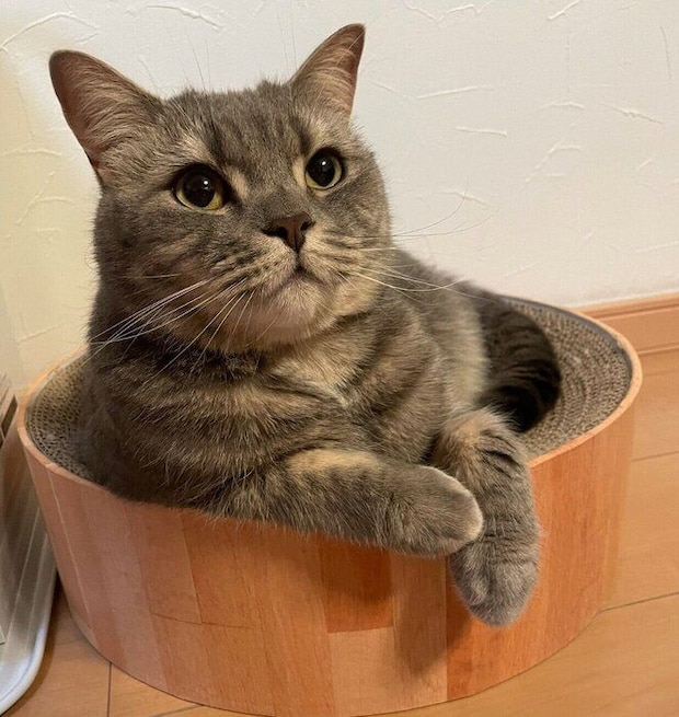 まったりする凛太郎くん