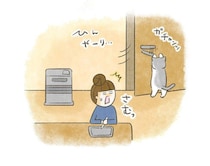 「開けたら閉めて！」叫ぶ飼い主vs得意げな猫の冬のドア攻防戦【連載】交通事故にあった猫を拾いました#242