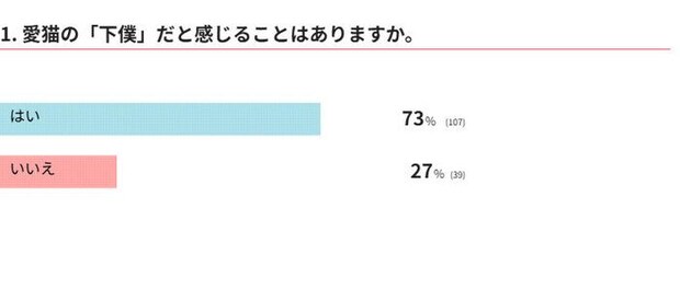 愛猫の「下僕」だと感じることはありますか？
