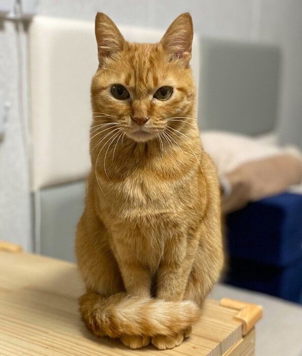 見つめるつぶちゃん