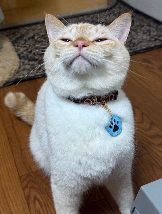 SNSで話題になった1枚 寝起き感満載の表情がかわいすぎる