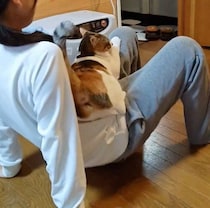 「膝から絶対降りない猫vs学校に行きたい娘」　朝の攻防にほっこりする人続出！