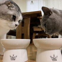 【ニャ論調査】5年前と比べてどう変わった？　猫におやつを与える頻度や食事代