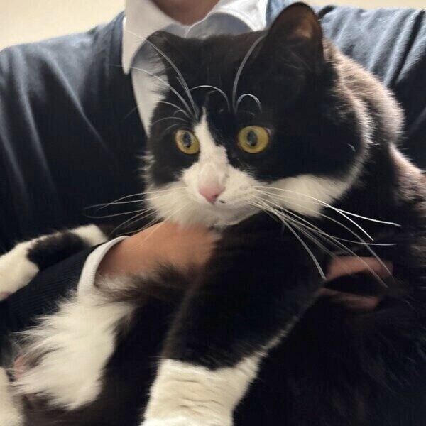 パパさんに抱っこされるテトちゃん